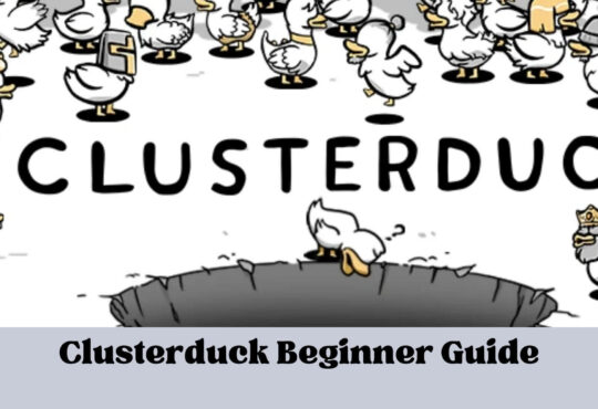 Clusterduck Beginner Guide