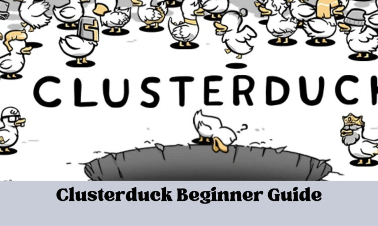 Clusterduck Beginner Guide