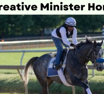 Creative Minister Horse