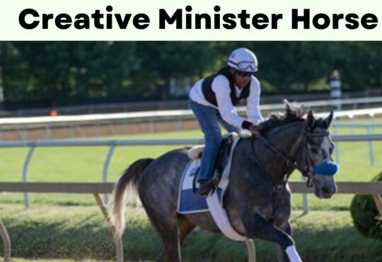 Creative Minister Horse