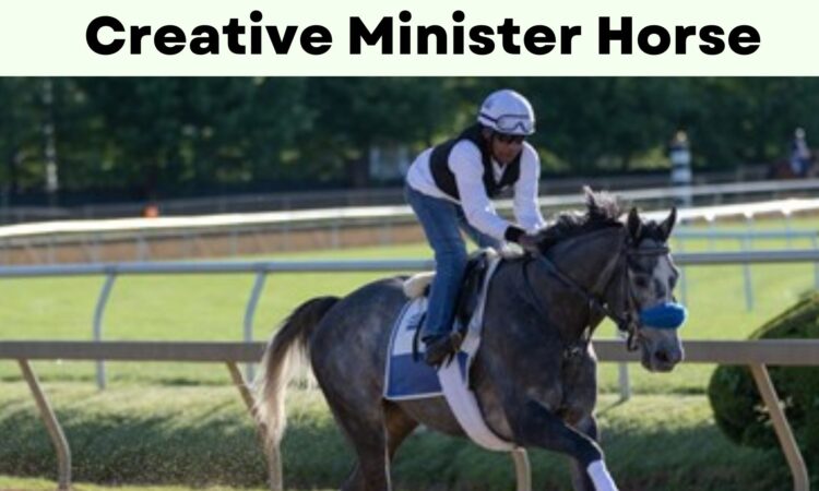 Creative Minister Horse