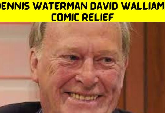 Dennis Waterman David Walliams Comic Relief