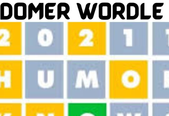 Domer Wordle