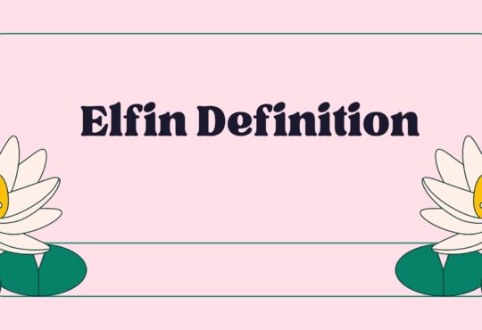 Elfin Definition