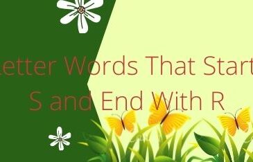 Five Letter Words That Start With S and End With R