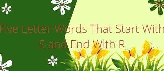 Five Letter Words That Start With S and End With R