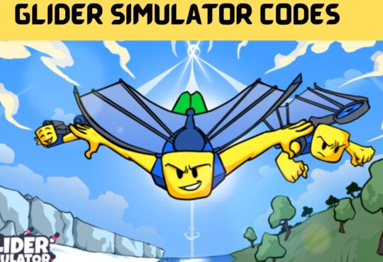 Glider Simulator Codes