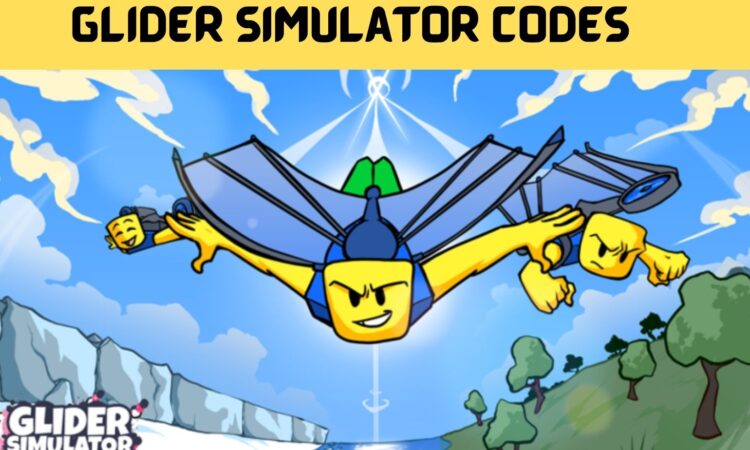 Glider Simulator Codes