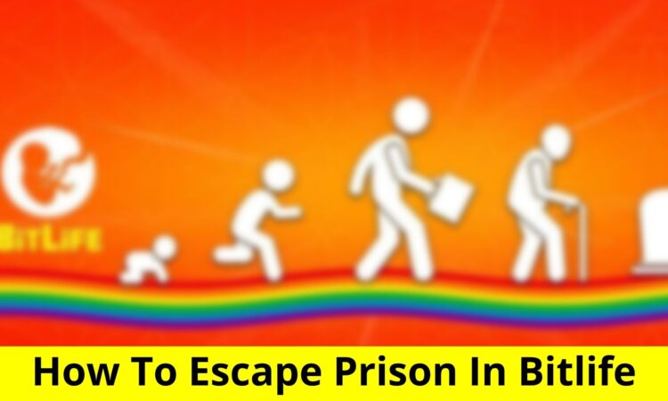 How To Escape Prison In Bitlife