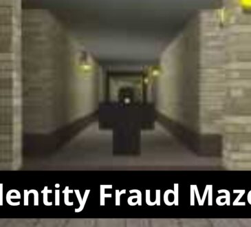 Identity Fraud Maze 1