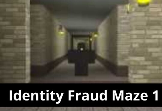 Identity Fraud Maze 1