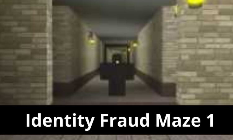 Identity Fraud Maze 1