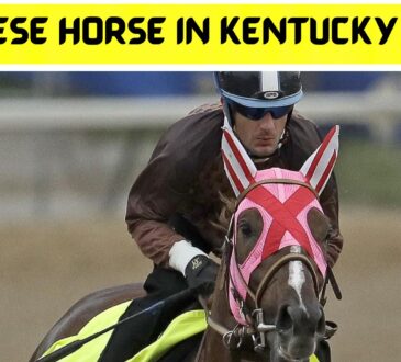 Japanese Horse in Kentucky Derby