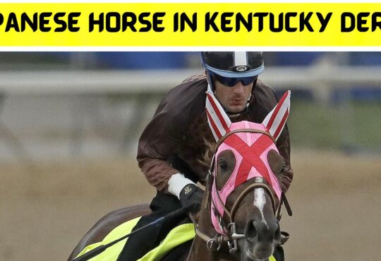 Japanese Horse in Kentucky Derby