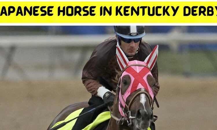 Japanese Horse in Kentucky Derby