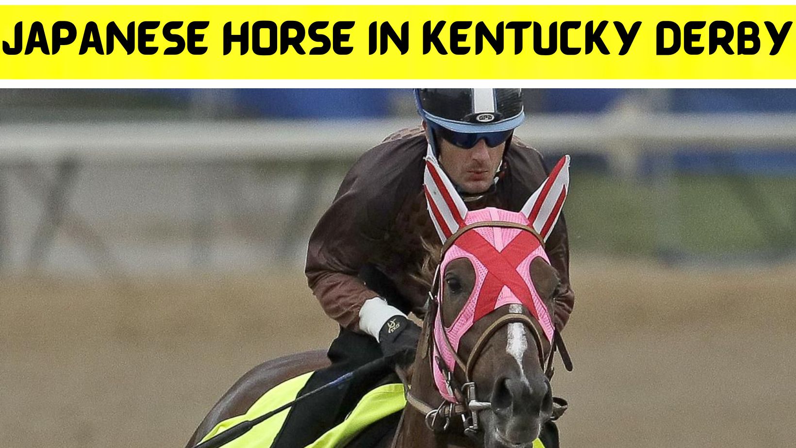 Japanese Horse in Kentucky Derby(May) Complete Useful Information!