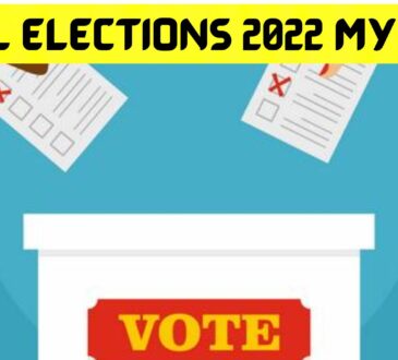 Local Elections 2022 My Area