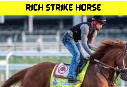 Rich Strike Horse