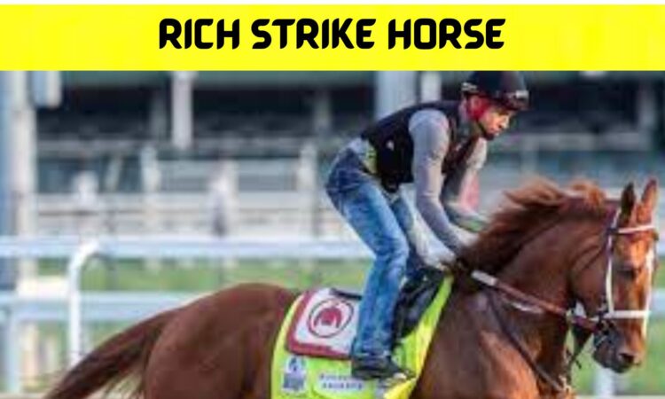 Rich Strike Horse