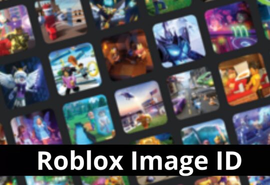 Roblox Image ID