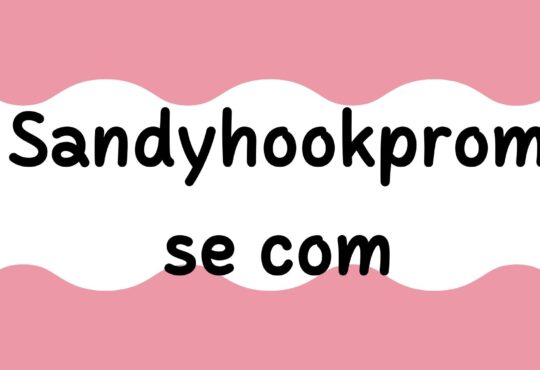 Sandyhookpromise com