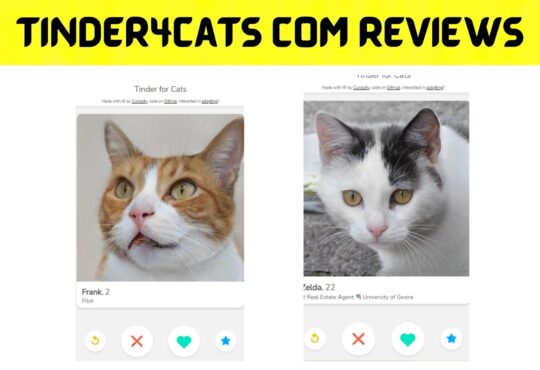 Tinder4cats Com Reviews