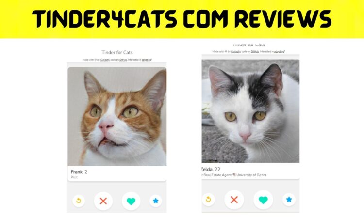 Tinder4cats Com Reviews