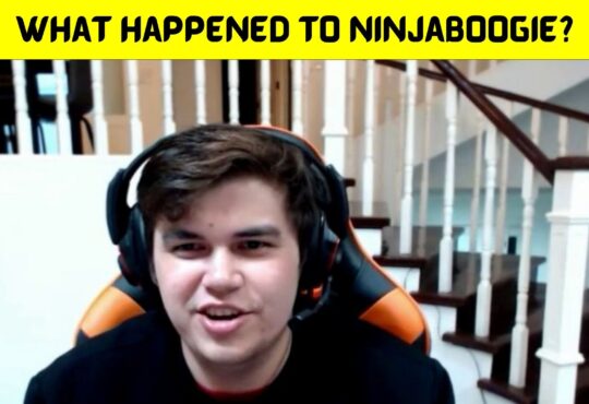 What Happened To Ninjaboogie