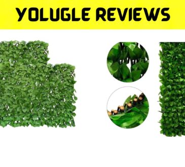 Yolugle Reviews