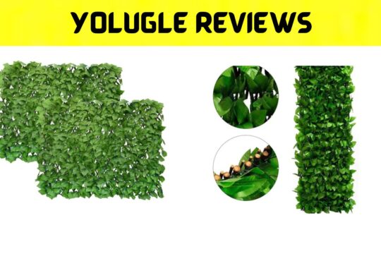 Yolugle Reviews