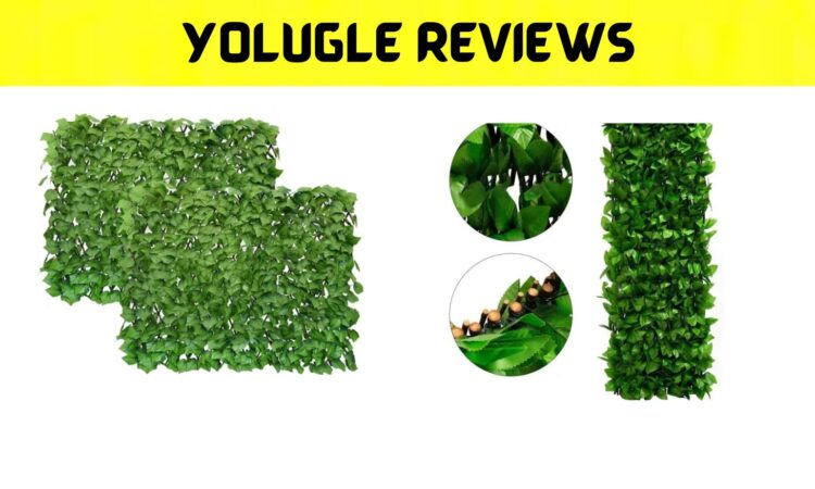 Yolugle Reviews