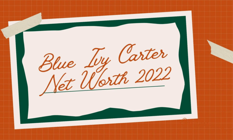 Blue Ivy Carter Net Worth 2022