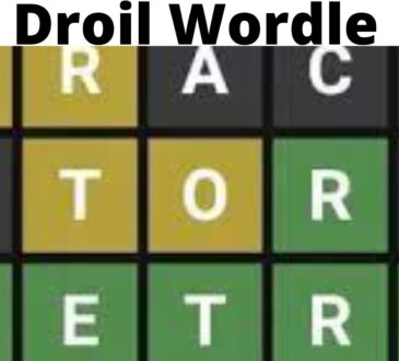 Droil Wordle