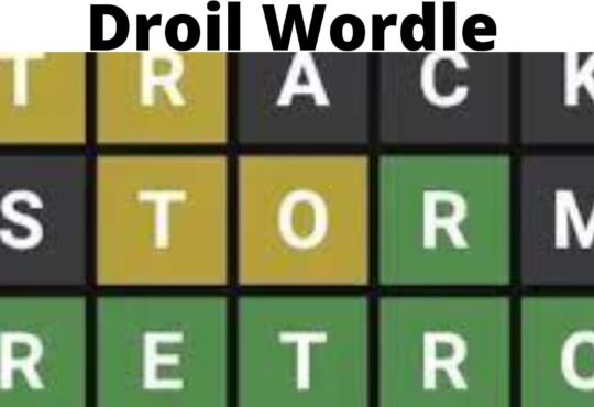 Droil Wordle