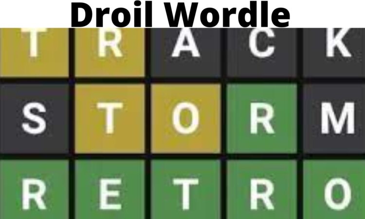 Droil Wordle