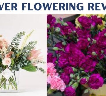 Forever Flowering Reviews