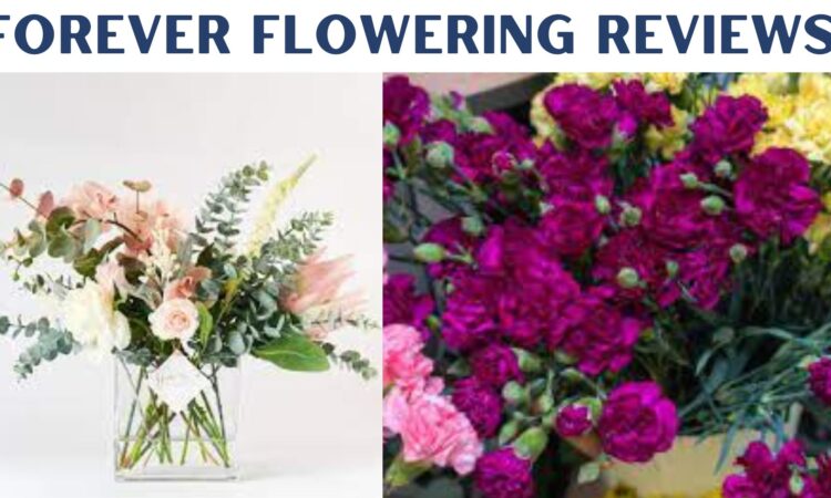 Forever Flowering Reviews