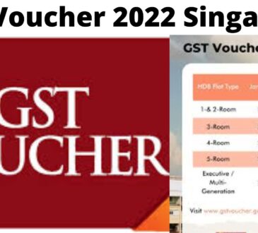 Gst Voucher 2022 Singapore