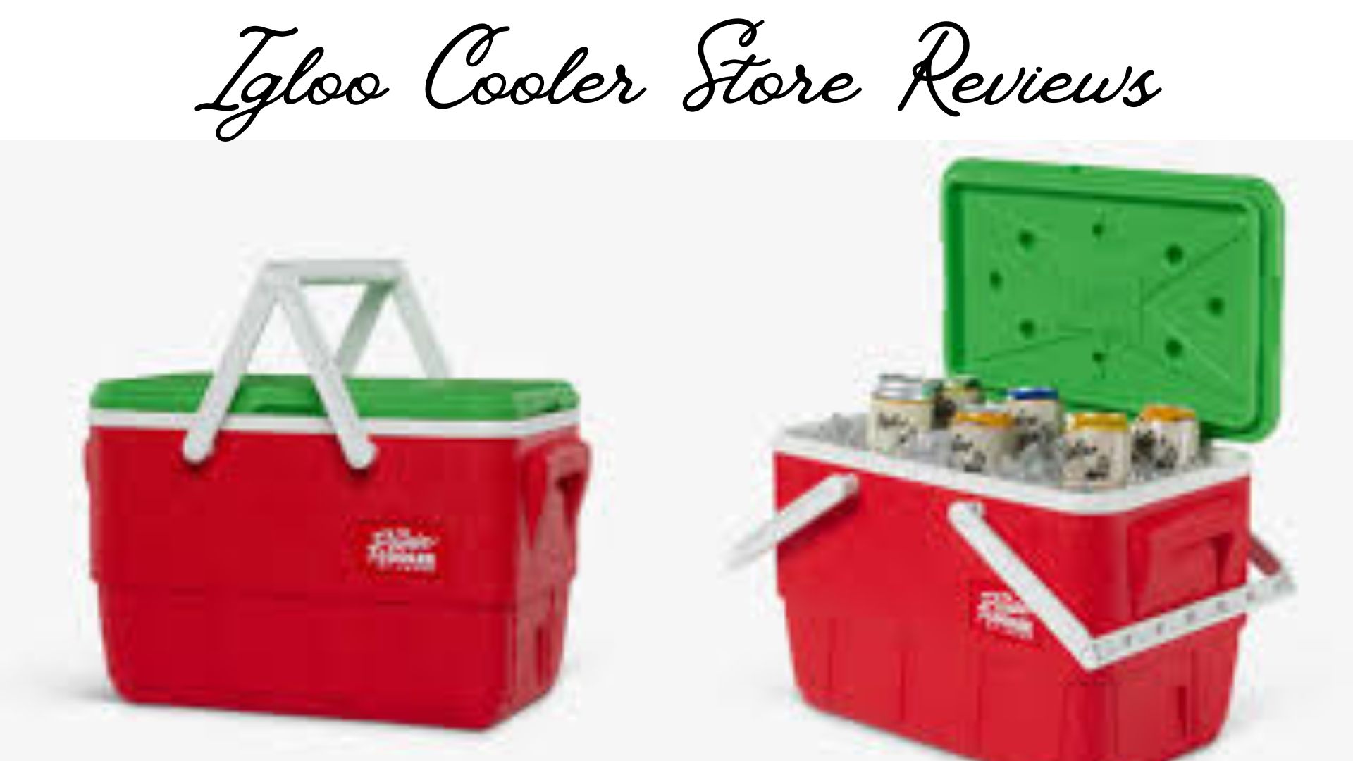 Igloo Cooler Store Reviews {June} Is This A Legitimate Site?