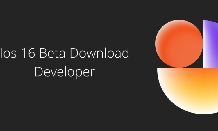 Ios 16 Beta Download Developer