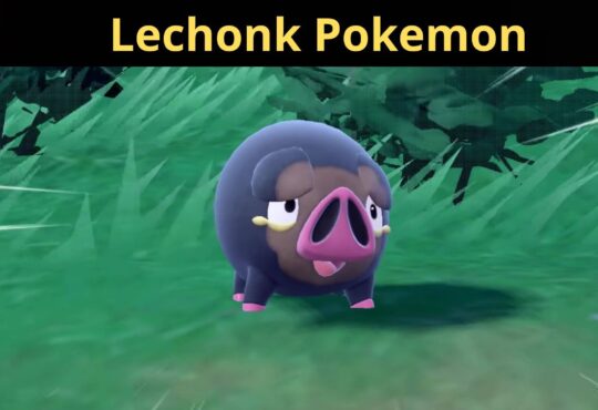 Lechonk Pokemon