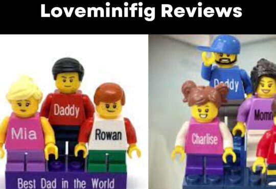 Loveminifig Reviews