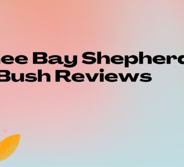 Lychee Bay Shepherds Bush Reviews