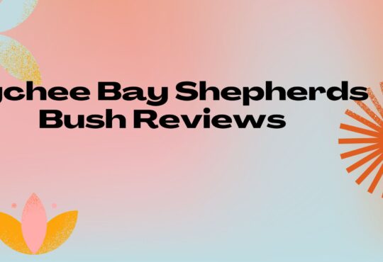 Lychee Bay Shepherds Bush Reviews