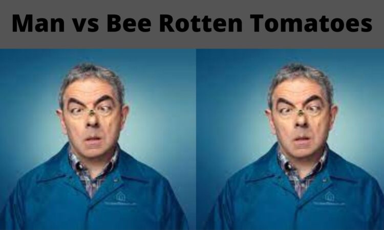 Man vs Bee Rotten Tomatoes