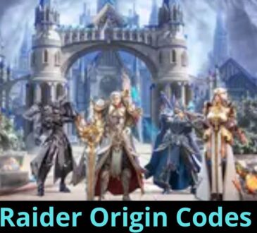 Raider Origin Codes