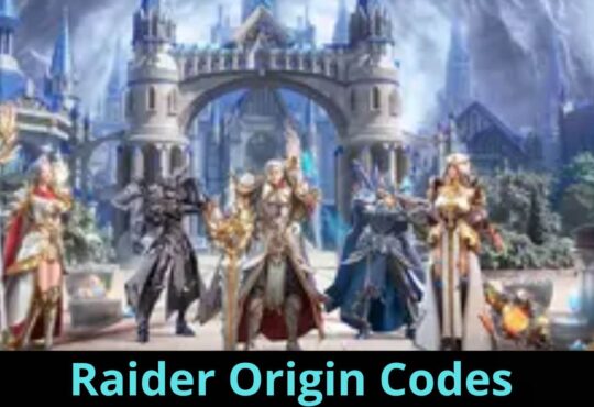 Raider Origin Codes