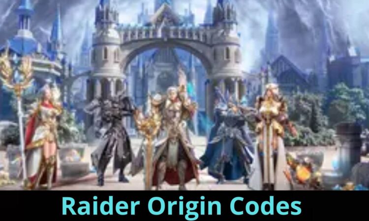 Raider Origin Codes