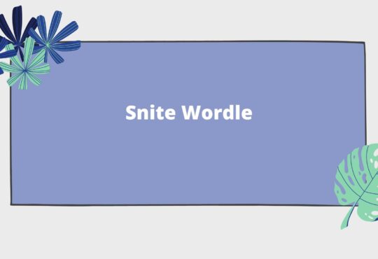 Snite Wordle