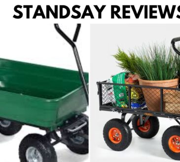 Standsay Reviews